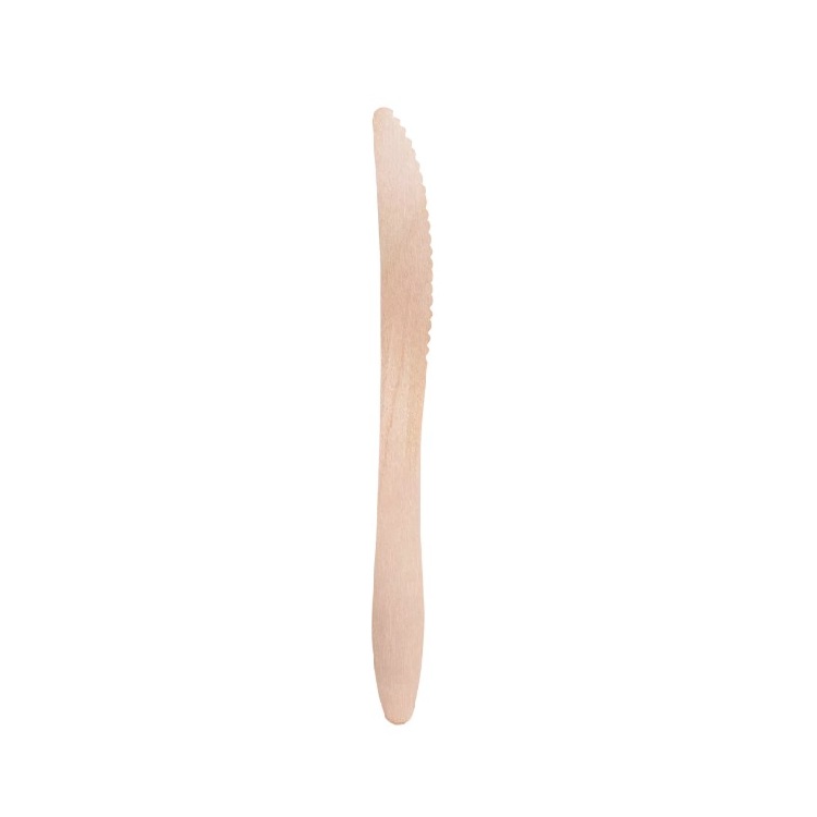 COLTELLI LEGNO CM.16,5 PZ.100 (23)